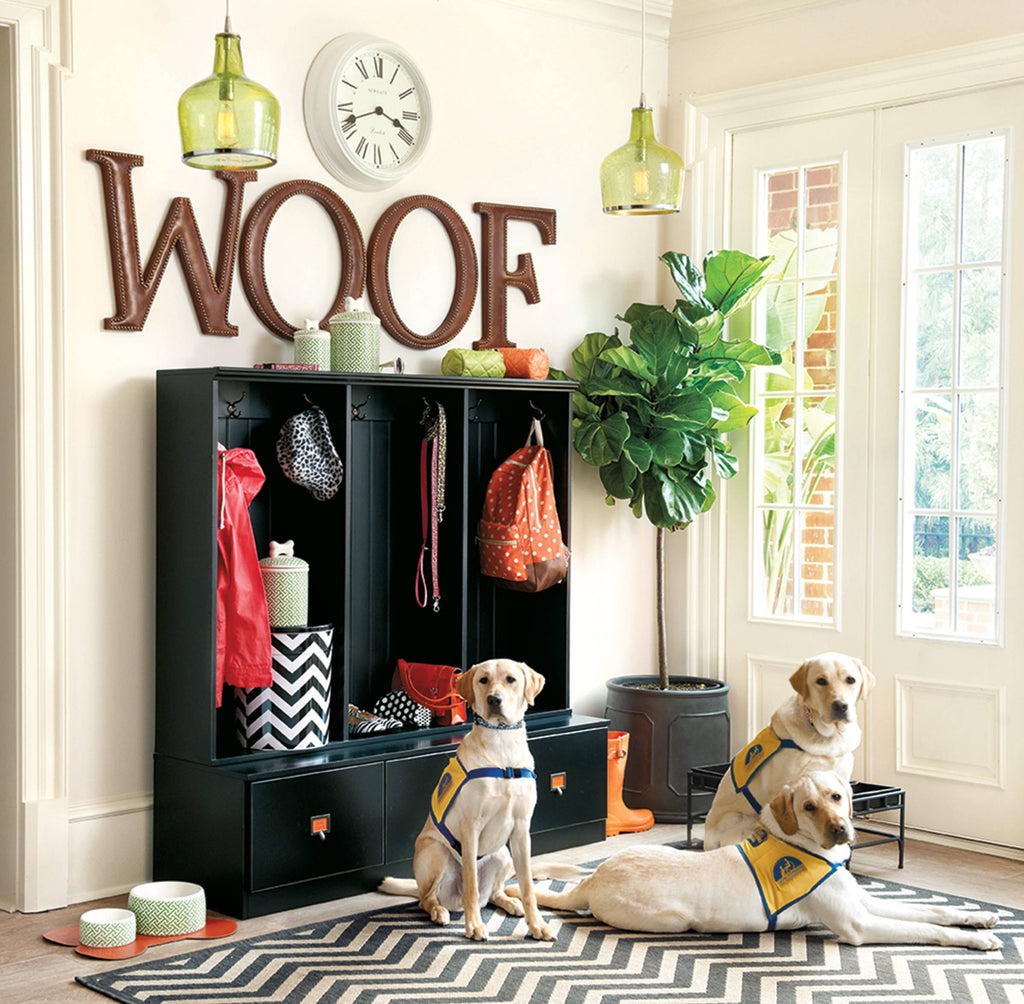 🏡 How to Create a Pet-Friendly Home: Style Meets Comfort