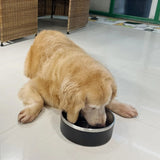 Stainless Steel pet bowl