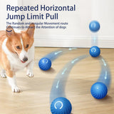 SmartBounce Dog Toy