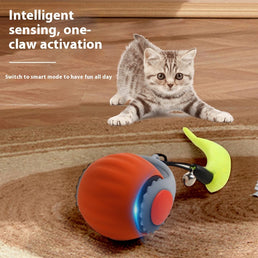 Gravity Purr Ball