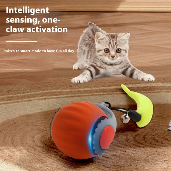 Gravity Purr Ball