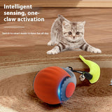 Gravity Purr Ball