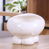 Cat water feeder