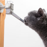 Solid Wood Pet Feeder & Water Fountain