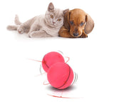 Interactive LED Cat Toy Bal