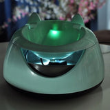 Automatic water dispenser