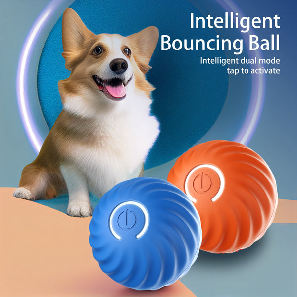 SmartBounce Dog Toy