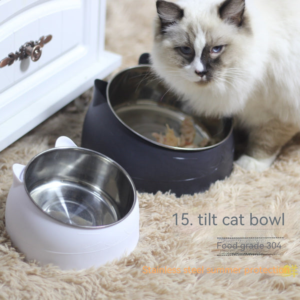 Stainless Steel Double Bowl