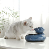 Cat water feeder