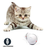 Interactive LED Cat Toy Bal