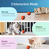PurrSmart Ball 2025