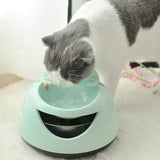 Automatic water dispenser