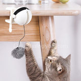 WhiskerMotion Cat Toy