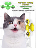 Interactive Rotating Disk-Cat Toy