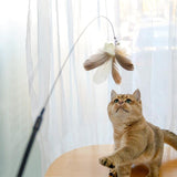 Cat Teaser Stick & Laser Pen