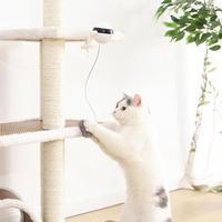 WhiskerMotion Cat Toy