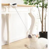 WhiskerMotion Cat Toy