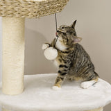Cat Tree Activity Center – Multi-Level Cat Tower with Sisal Posts, Condo, Bed & Toys