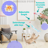 Cat Teaser Stick & Laser Pen