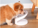 Cat Bowl with Diagonal Mouth