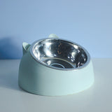 Stainless Steel Double Bowl
