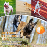 Orange Squeaker Dog Toy – Strong, Fun, and Safe for Endless Playtime