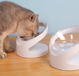 Cat Bowl with Diagonal Mouth