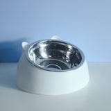 Stainless Steel Double Bowl