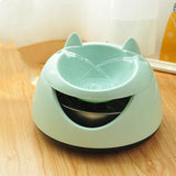 Automatic water dispenser