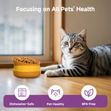 Hamburger Appearance Pet  Bowl Combination