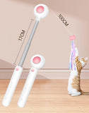 Cat Teaser Stick & Laser Pen