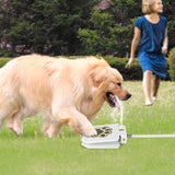 Step-On Outdoor Dog Water Fountain