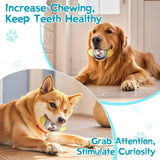 Egg Squeaky Dog Toy