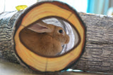 Tree Pattern 3-Way Cat Tunnel