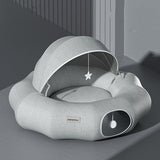 Cat Tunnel Donut Tunnel