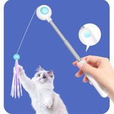 Cat Teaser Stick & Laser Pen