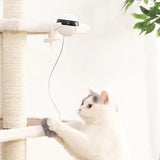 WhiskerMotion Cat Toy