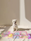 Acrylic Pet Dazzling Bowl