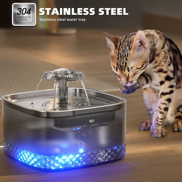 Pet Drinking Tools