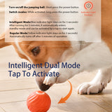 SmartBounce Dog Toy