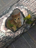 Tree Pattern 3-Way Cat Tunnel