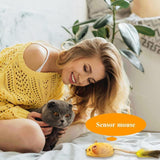 Interactive LED Cat Toy Mouse
