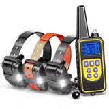 PawTrainer 3000 FT