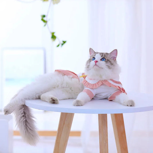 Summer Spring Cat Dress