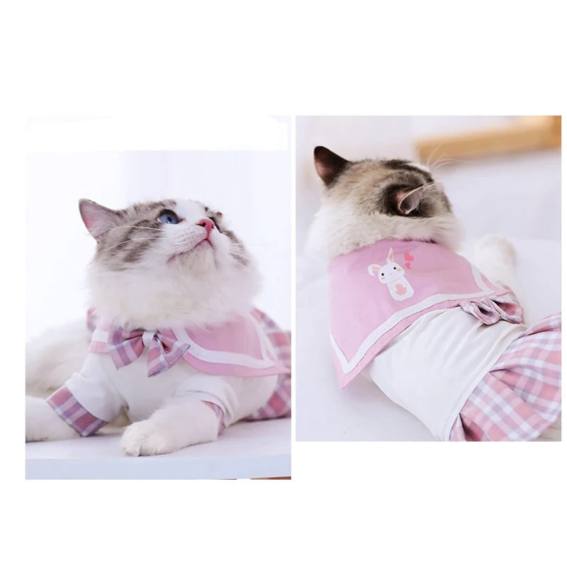 Summer Spring Cat Dress