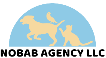 NOBAB AGENCY LLC