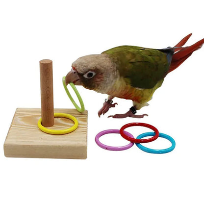 r Parrots Colorful Plastic Rings Toy