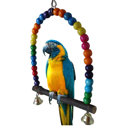 Parrot Colorful Swing
