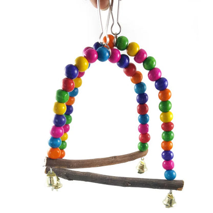 Parrot Colorful Swing