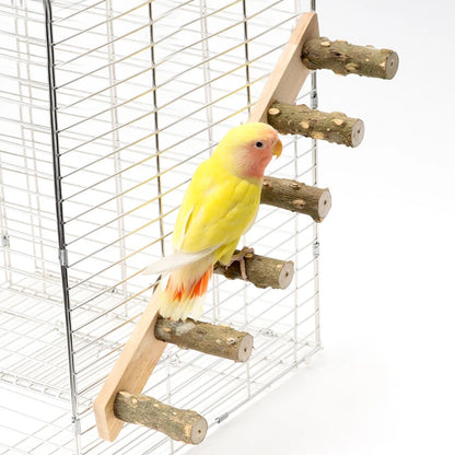 Parrot  Cage  Wood Ladder